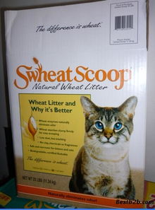 专业解析 宠物兔子用品与宠物食品进口清关及报关代理操作全流程