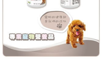 发育宝羊乳片 打造爱犬健康活力的营养新选择